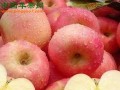 蘋(píng)果期貨立項(xiàng)即將完成 ()
