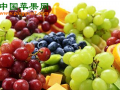 全國梨產業(yè)協(xié)作組致力打造一體化產業(yè)鏈條 ()