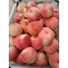 大量供應(yīng)山東九號蜜桃紅嘎啦蘋果