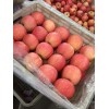 供應(yīng)山東紅富士蘋(píng)果清庫(kù)處理價(jià)格0.5一斤