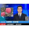 供應高原紅富士