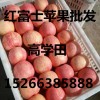 紙袋膜袋紅富士蘋果低價出售