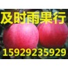 2023年陜西紙夾膜紅富士蘋果批發(fā)價格