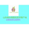 圣泉山生態果園  18660016895