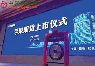 全球首個蘋果期貨在鄭商所交易上市 ()