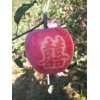 供應：紅富士蘋果 75 80 90cm 漿水蘋果