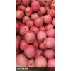 精品紅富士蘋(píng)果