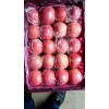 大量供應(yīng)紙加膜紅富士和膜袋紅富士
