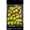 山西臨猗 萬榮黃土高坡冷庫紙加膜紅富士 紅香酥梨掉價啦