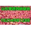 １８２５４９８１２８８紅富士/紙袋/膜袋/紙夾膜蘋果產地