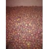 大量供應(yīng)膜袋紅富士