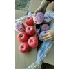 陜西冰糖心紅富士蘋果批發(fā)價格冰糖心紅富士蘋果基地