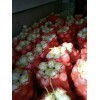 陜西大荔縣甜瓜產(chǎn)地，白肉甜瓜基地，紅肉甜瓜價(jià)格