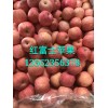 山東優(yōu)質(zhì)紅富士蘋果產(chǎn)地批發(fā)