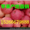 冷庫紅富士蘋果陸地毛桃大量供應(yīng)