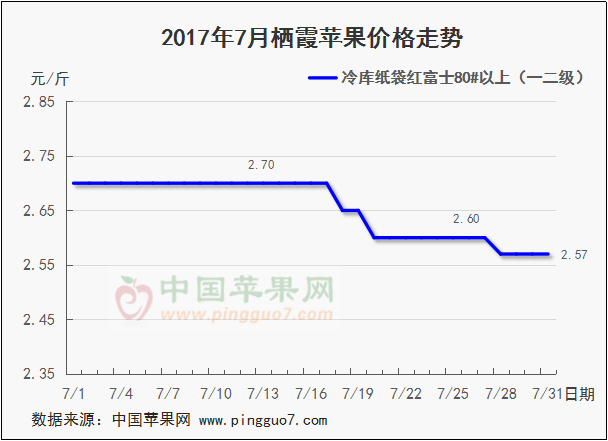圖片7