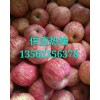 蘋果供應(yīng)產(chǎn)地批發(fā)13562356378
