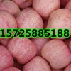 13863394777精品紅富士蘋果嘎啦價格