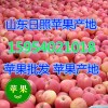 15552907687山東紙袋紅富士蘋果產地批發價格