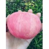 85井紅富士