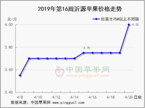 2019年第16周蘋果行情分析預測561