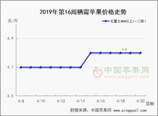 2019年第16周蘋果行情分析預測425
