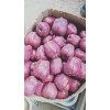 出售花牛蘋(píng)果
