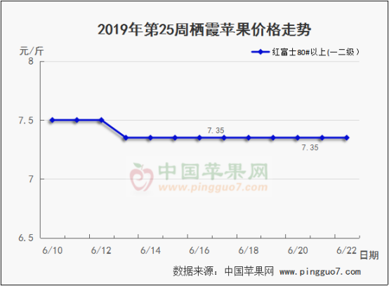 2019年第25周蘋果行情分析預測385