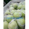 大量供應 膜袋黃金帥蘋果 量大價低