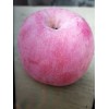 威海榮成大量供應(yīng)紅富士