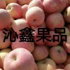 大量供應蘋果，梨，大櫻桃