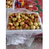 陜西冬棗產(chǎn)地