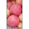 大量旬邑紅富士套袋條紋商品果