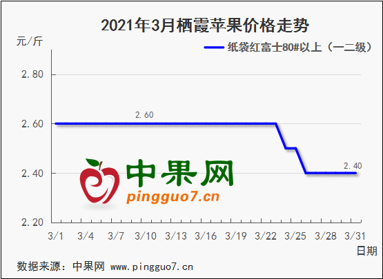 圖片11