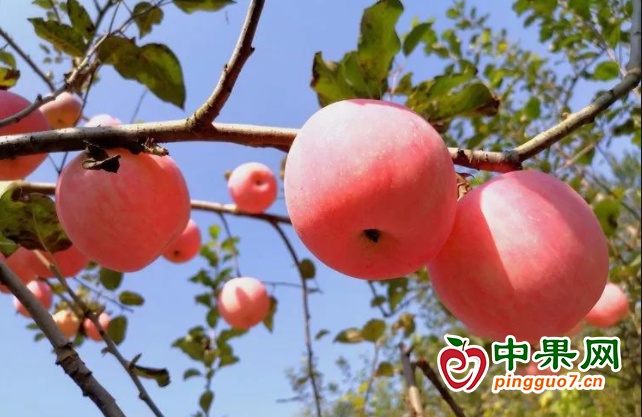 圖片 1
