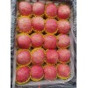陜西紅富士蘋果基地，優(yōu)質紅富士蘋果價格走勢