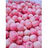 山東紅富士蘋果產(chǎn)地一手貨源，價(jià)格便宜好吃