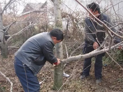圖片 5
