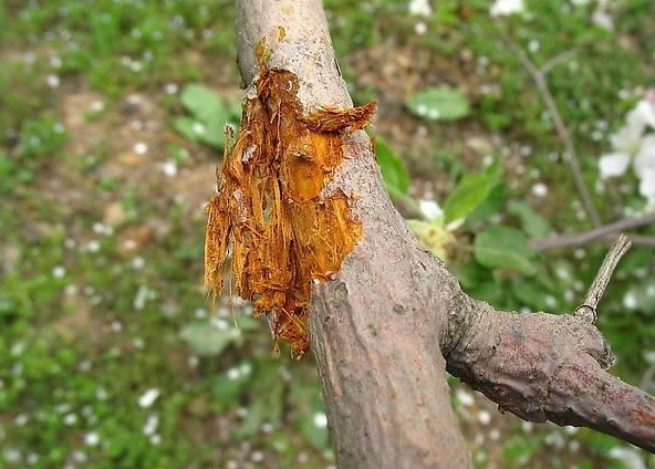 圖片 2