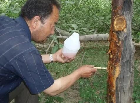 圖片 5