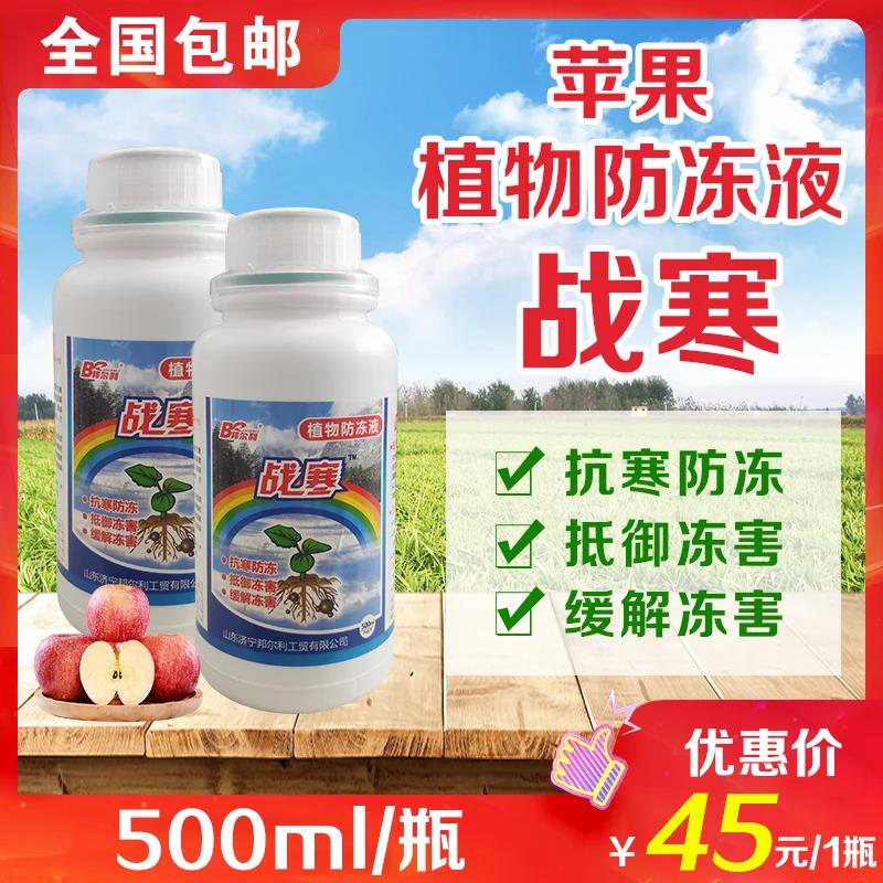 圖片 5