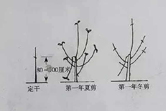 圖片 1