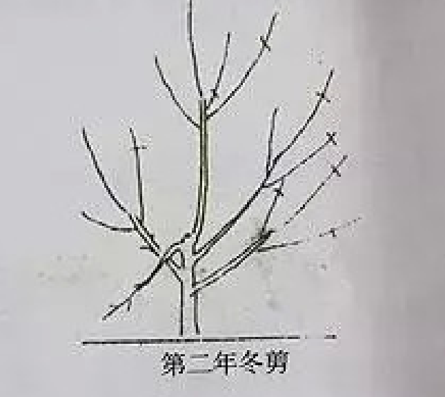 圖片 2