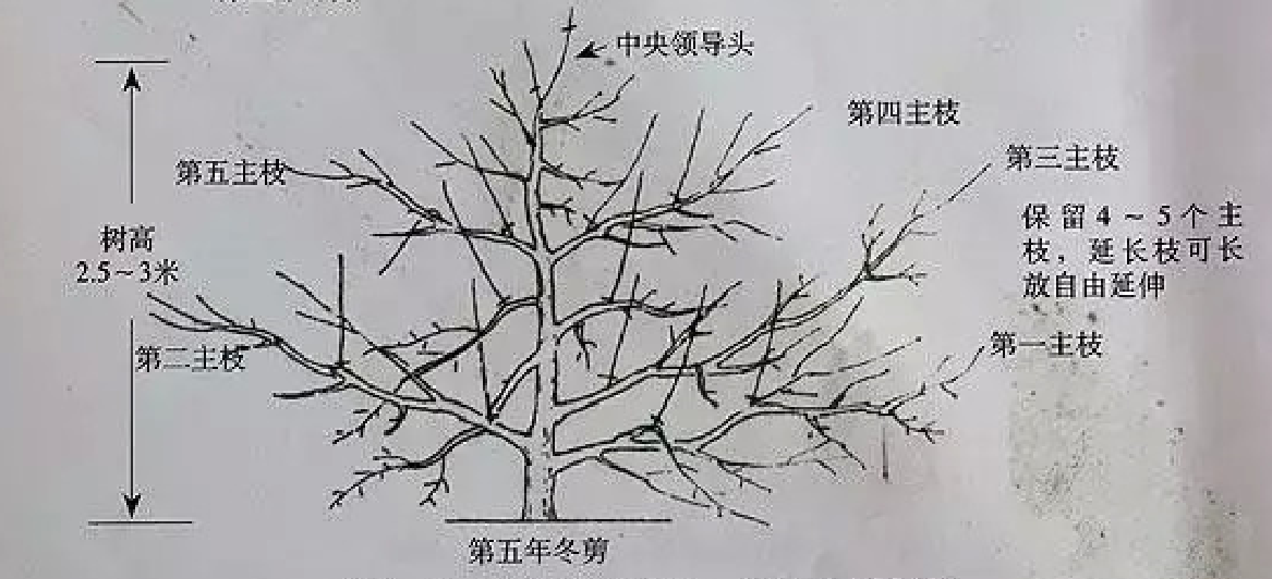 圖片 4