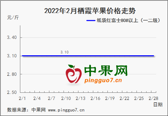 圖表 1_4