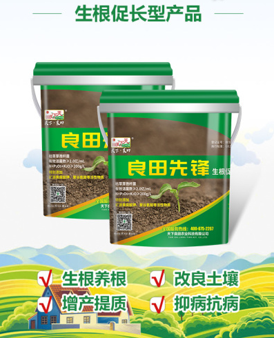 圖片 7