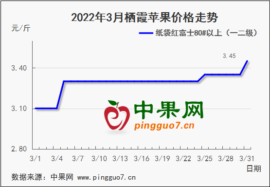 圖表 1