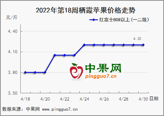 圖表 1