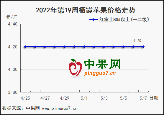 圖表 1