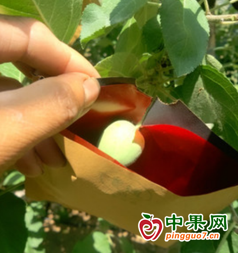 圖片 3